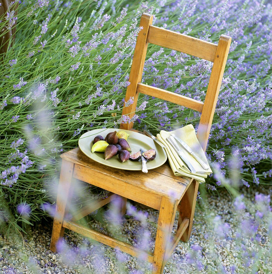 Frische Feigen auf Holzstuhl in einem Lavendelfeld