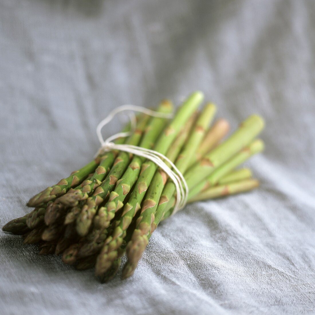 Green asparagus, in a bundle, on purple background