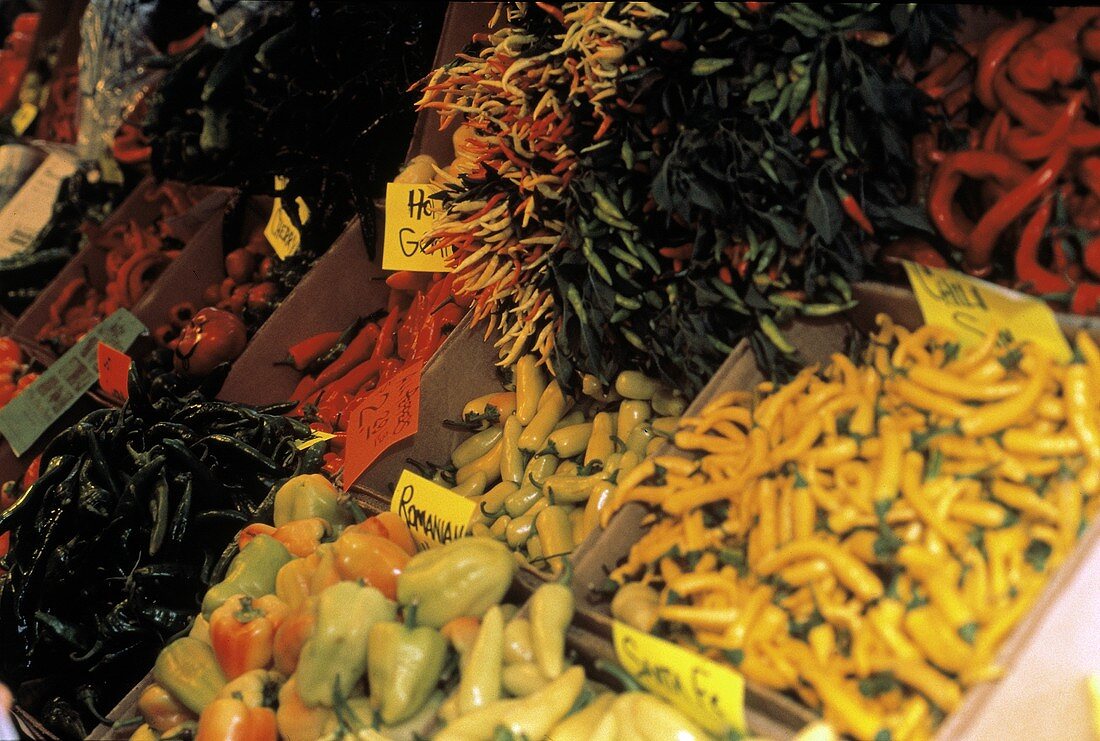 Viele verschiedene Chilisorten & Paprika auf dem Markt