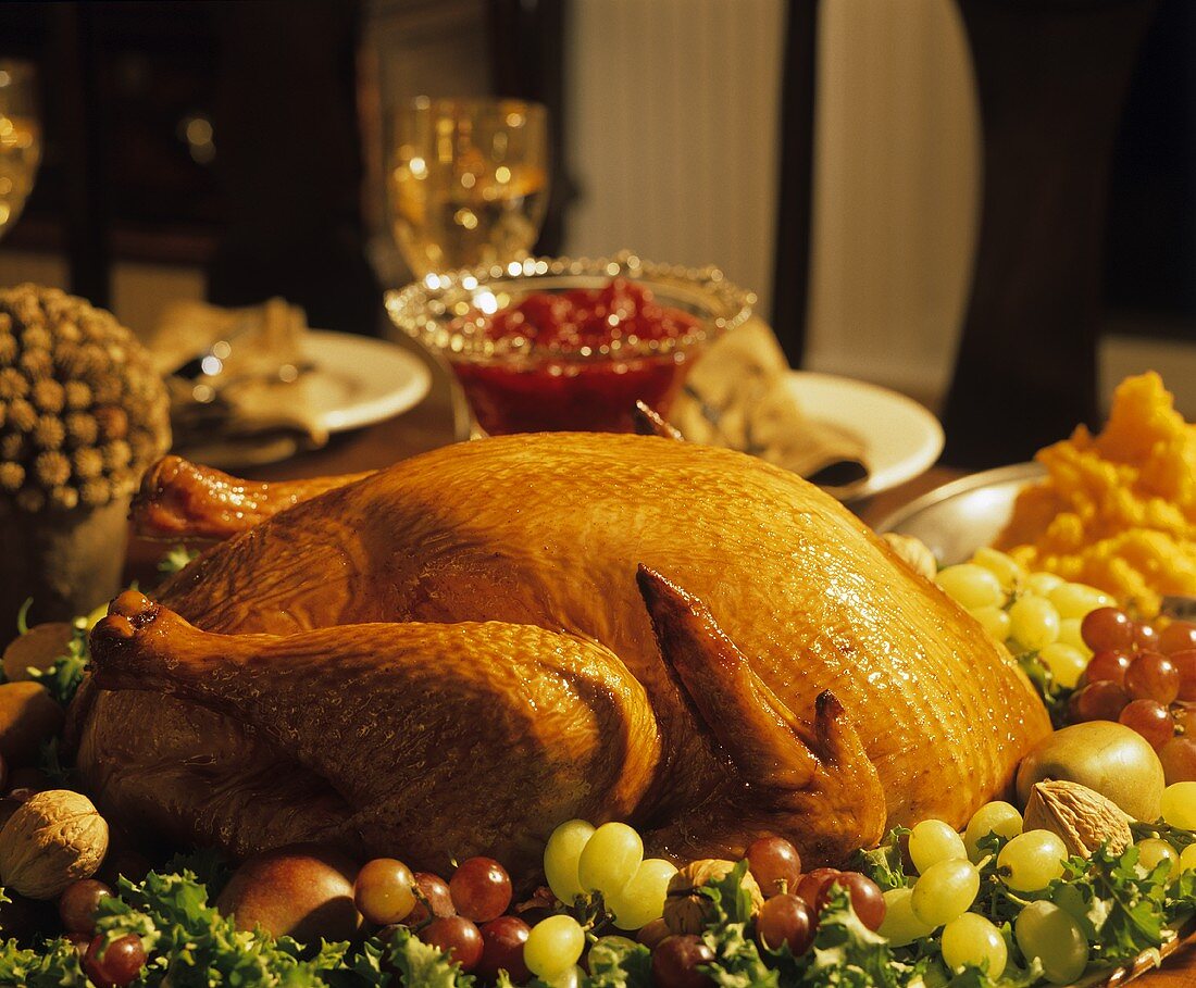 Thanksgiving Turkey with Fruits and Nuts