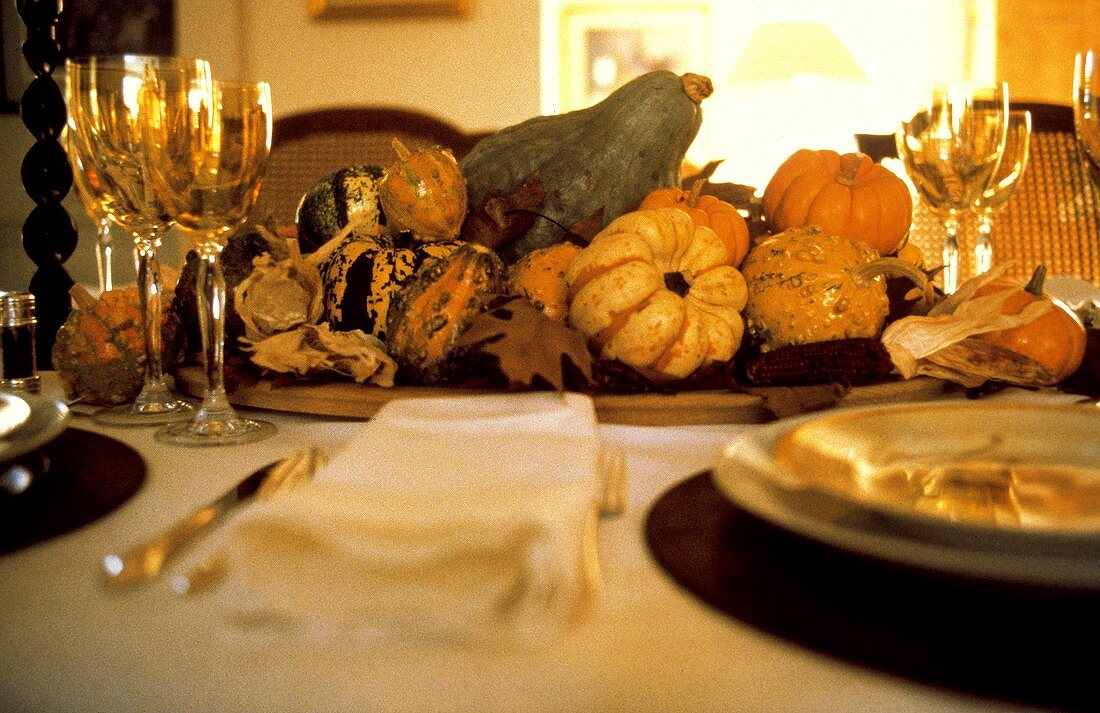 Herbstliche Tischdeko: verschiedene kleine Kürbisse am Teller