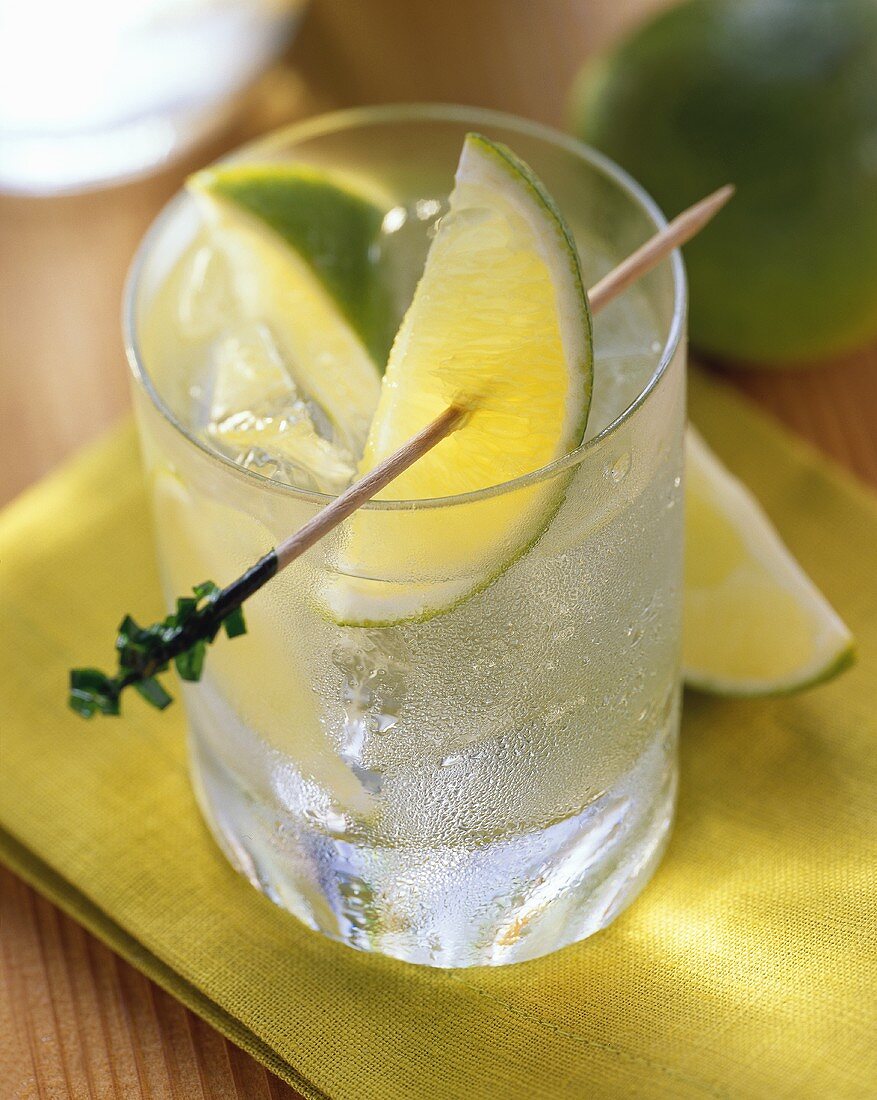 Ein Glas Gin Tonic mit Limettenspiess & Eiswürfeln
