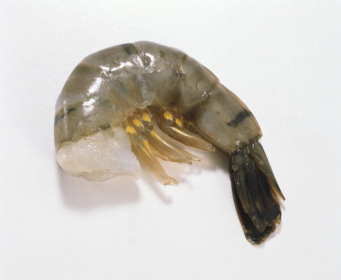 One Raw Shrimp Tail