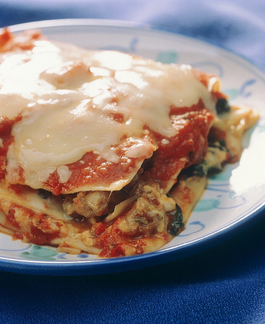Lasagne alla ferrarese (Lasagne with poultry meat, Italy)