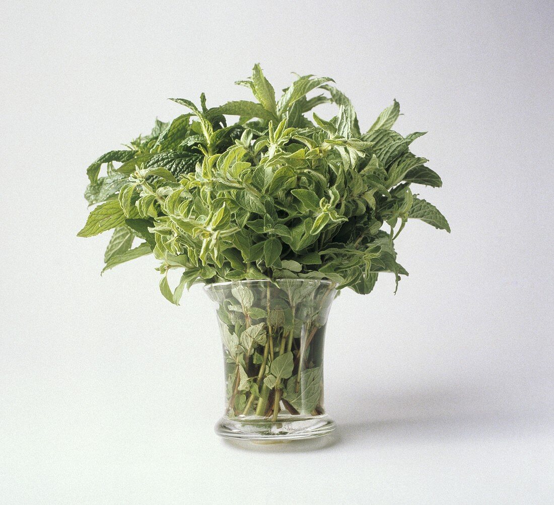 Assorted Herb Bouquet in a Vase