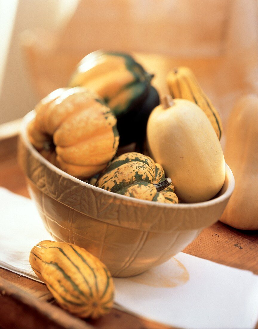 Assorted Squash in a Bowl