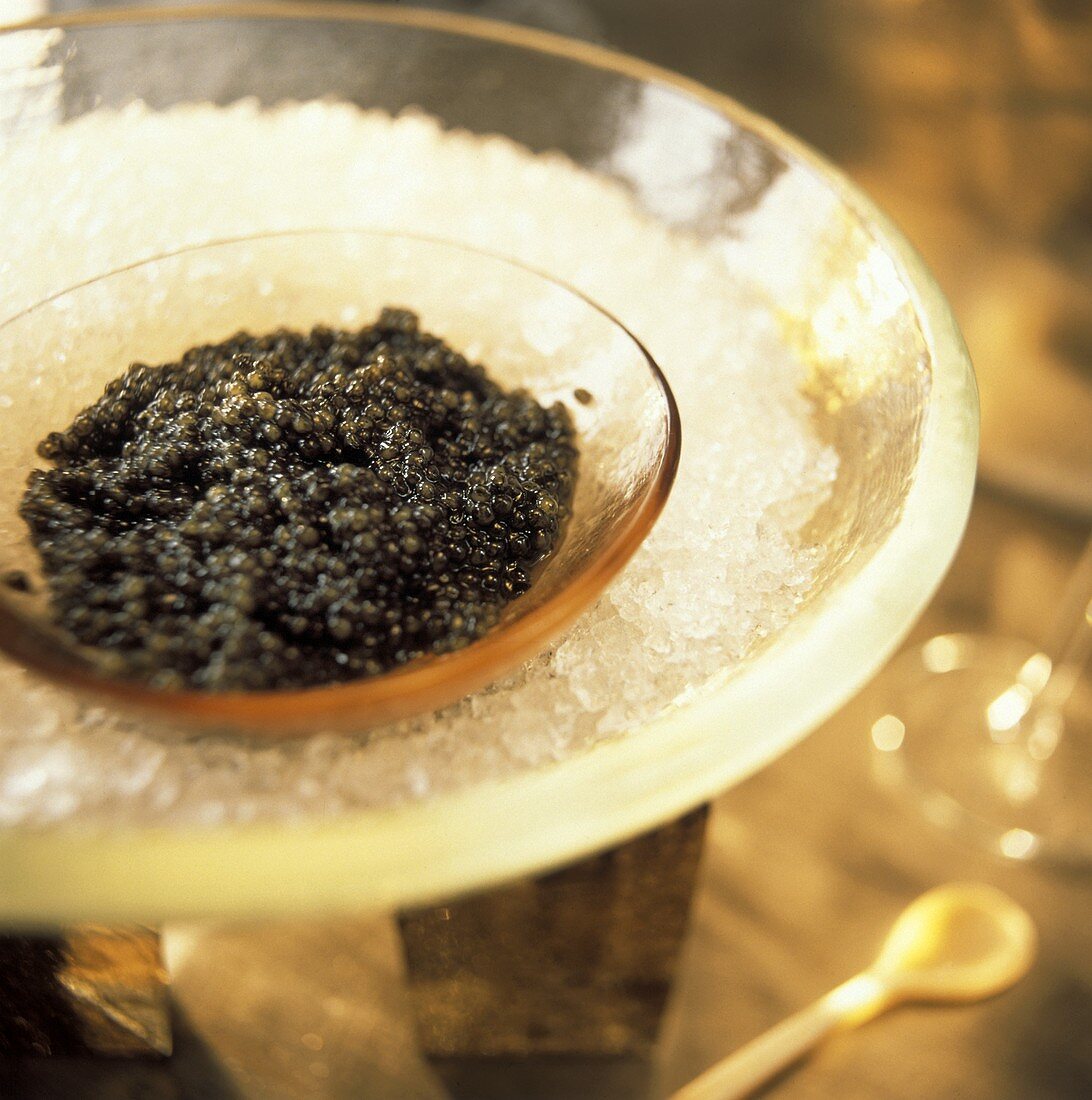 Schwarzer Kaviar in Schale auf zerstossenem Eis