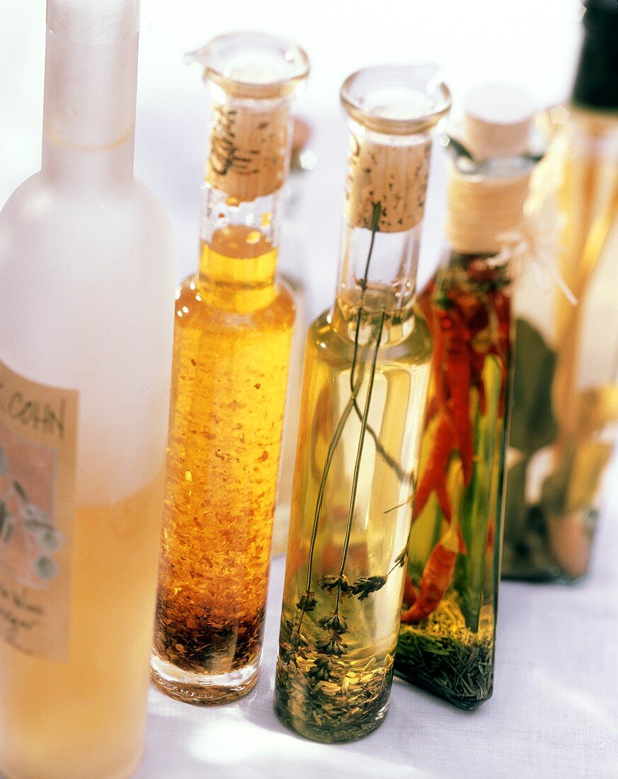 Verschiedene Kräuter- und Gewürzöle in Flaschen