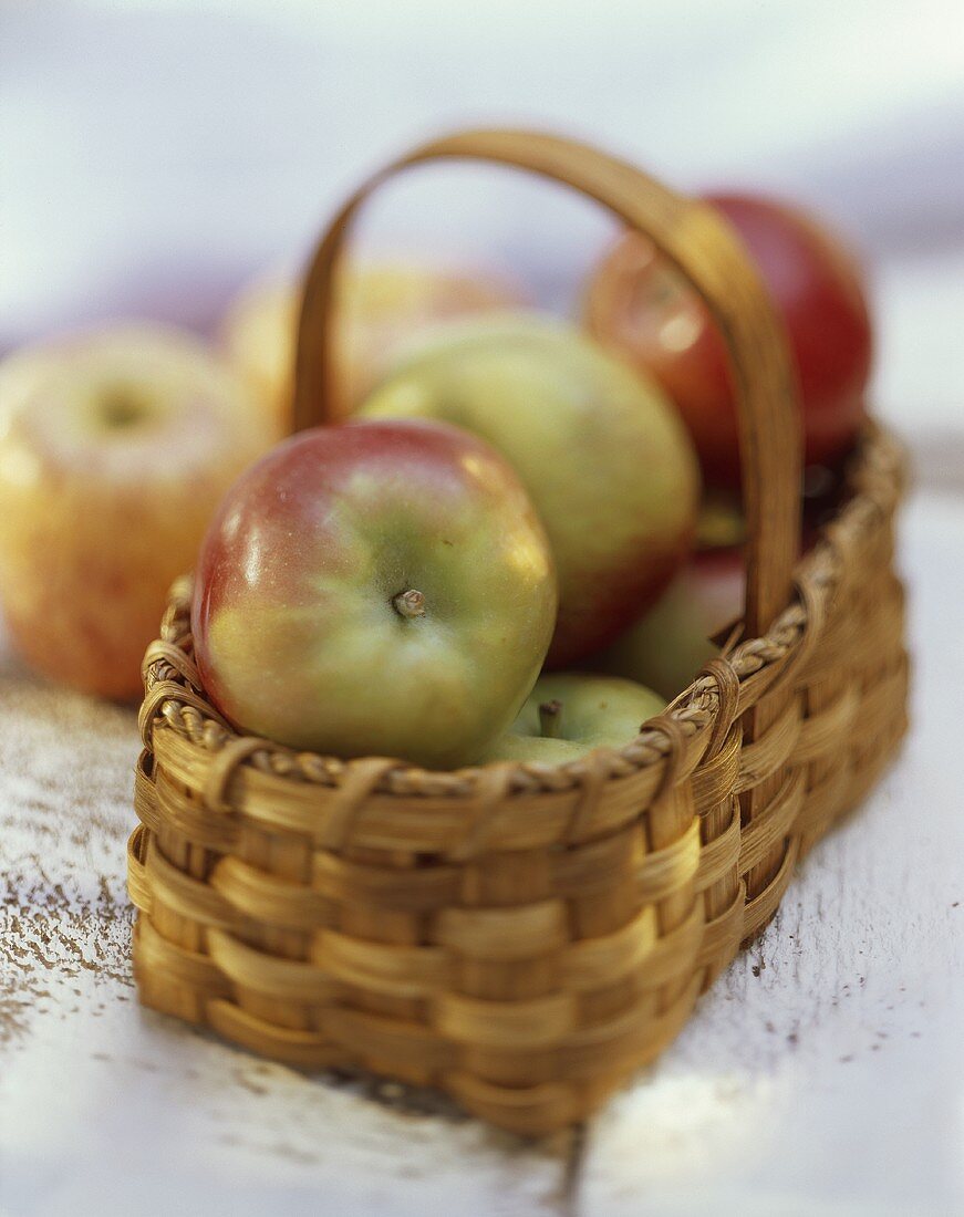 A Basket of Fresh McIntosh Apples