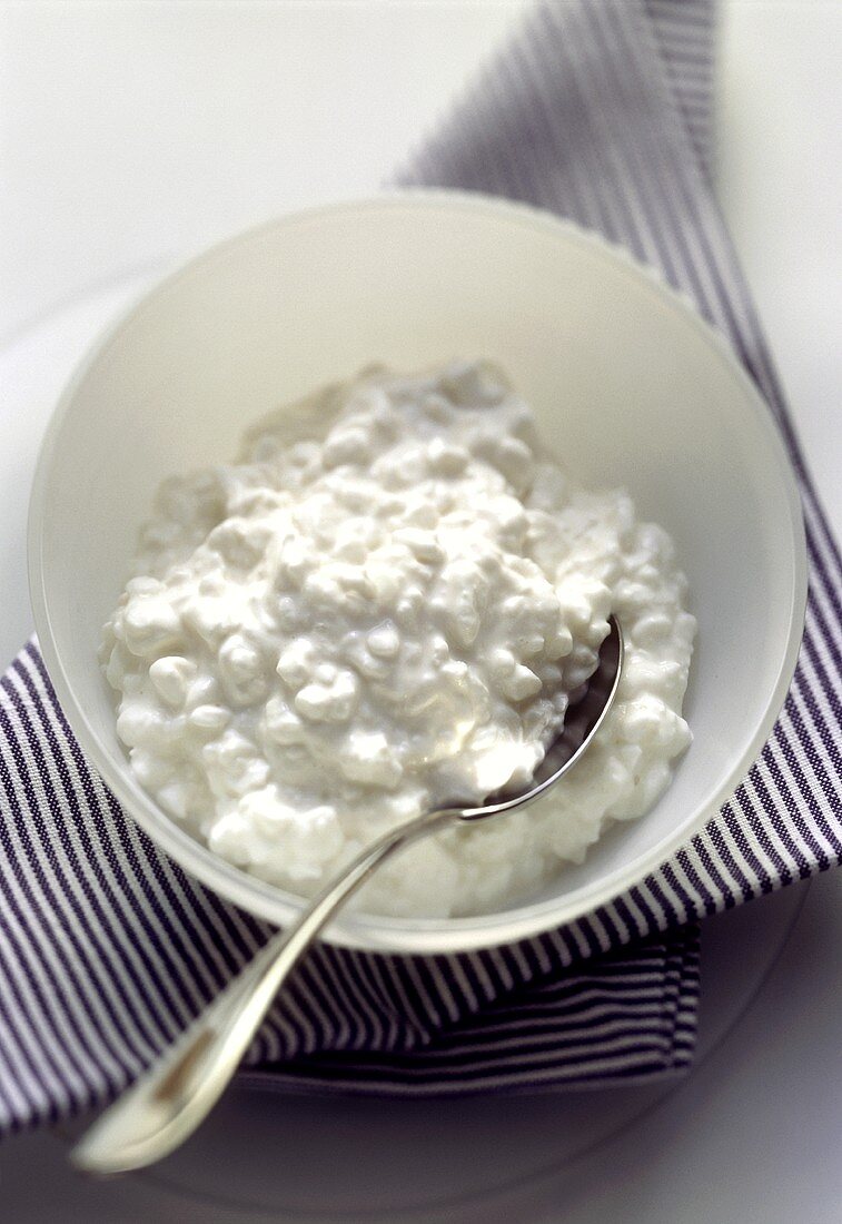 Cottage Cheese in a White Bowl with a Spoon; Dish Towel