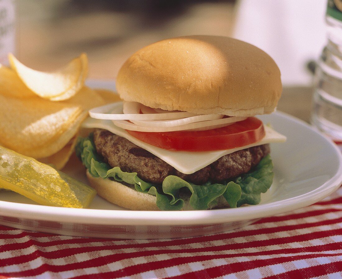 Cheeseburger with Pickle and Chips; Sunny