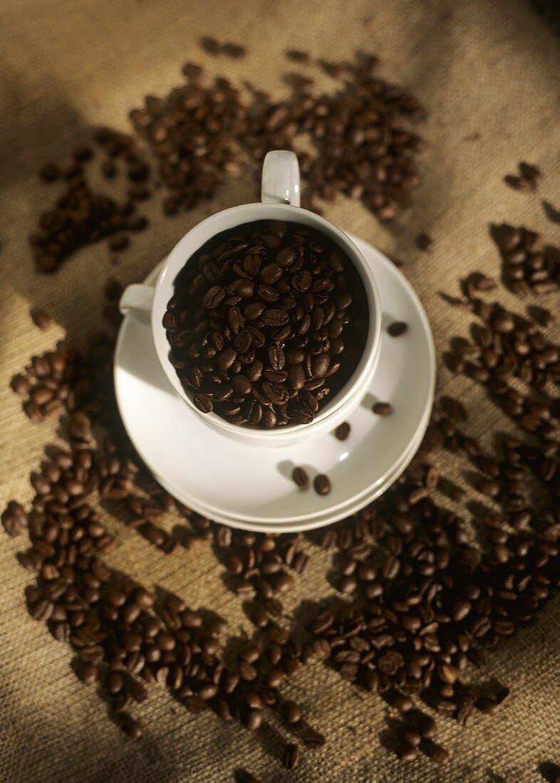 Kaffebohnen in der Tasse und verstreut