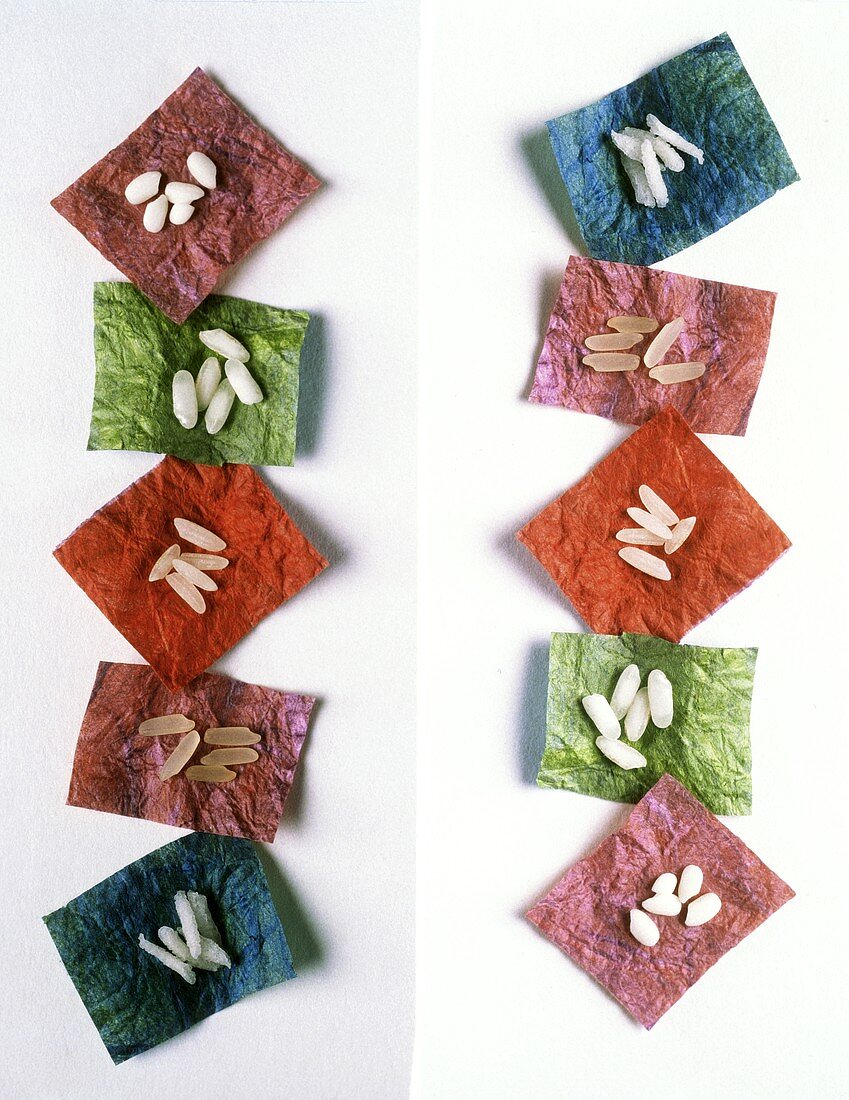 Assorted Rice on Pieces of Tissue Paper