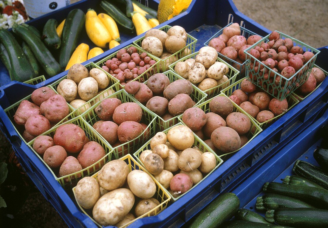 Körbchen mit verschiedenen Kartoffeln in Steige auf dem Markt