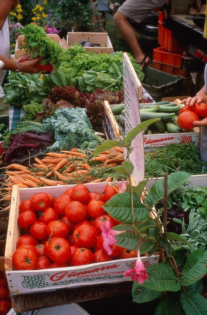 Verschiedenes Gemüse in Steigen auf einem Bauernmarkt