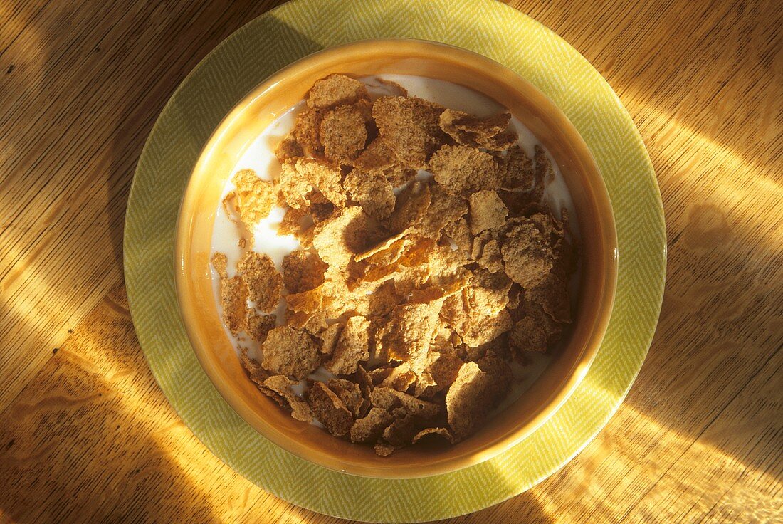 Whole Grain Cereal in Bowl with Milk