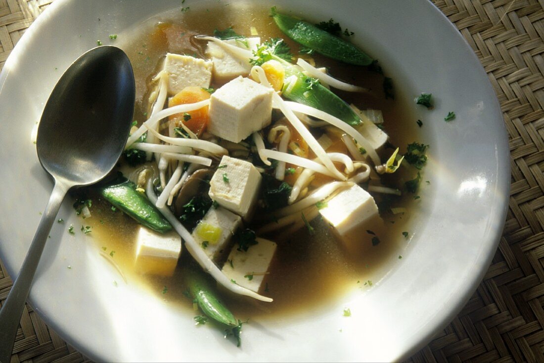 Gemüsesuppe mit Sprossen und Tofu auf weißem Teller
