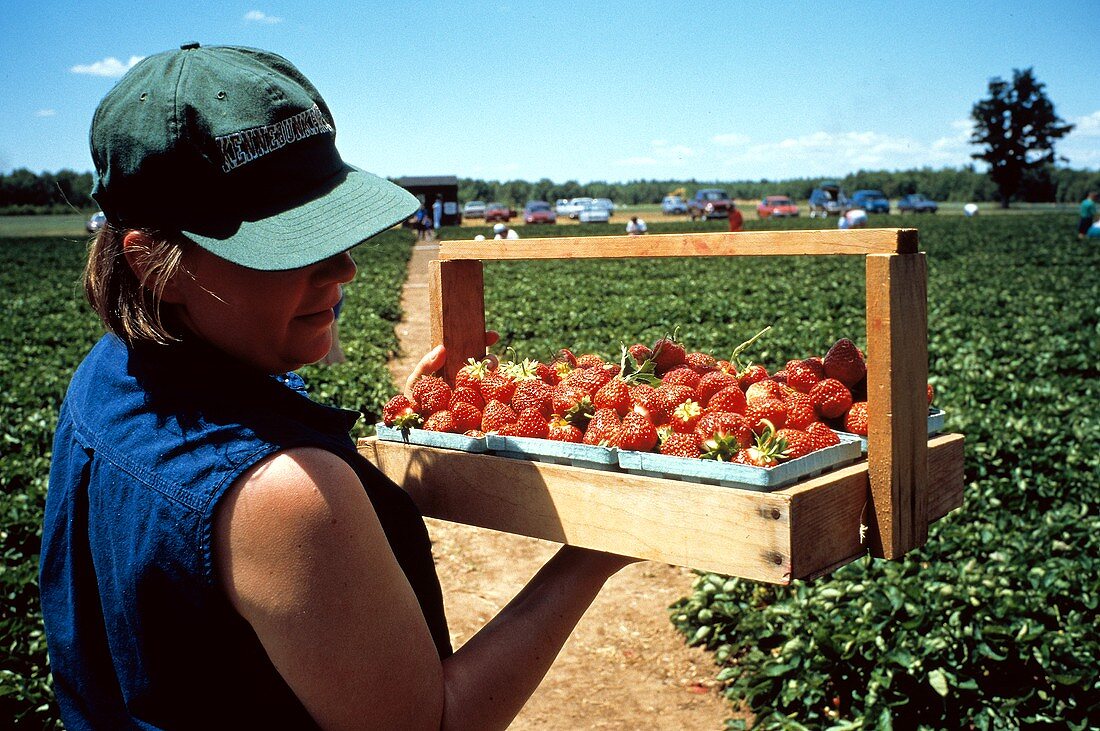 A Woman Holding a Box of Strawberries