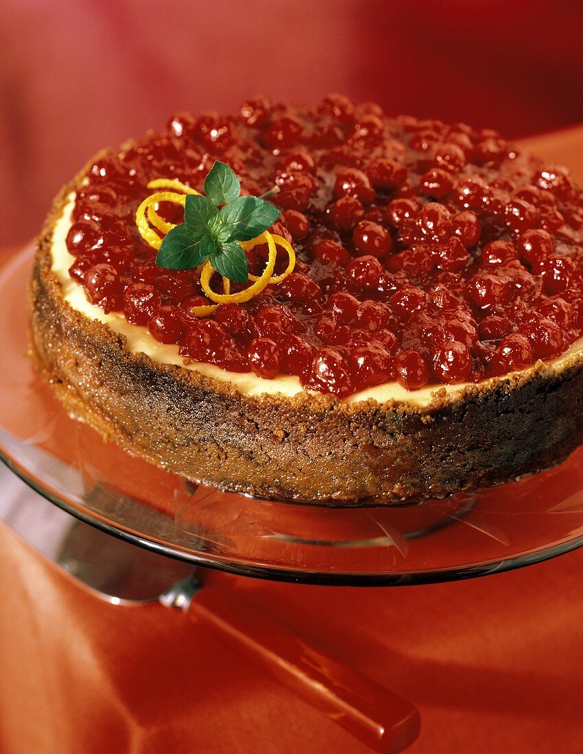 Käsekuchen mit Cranberries auf Glasteller