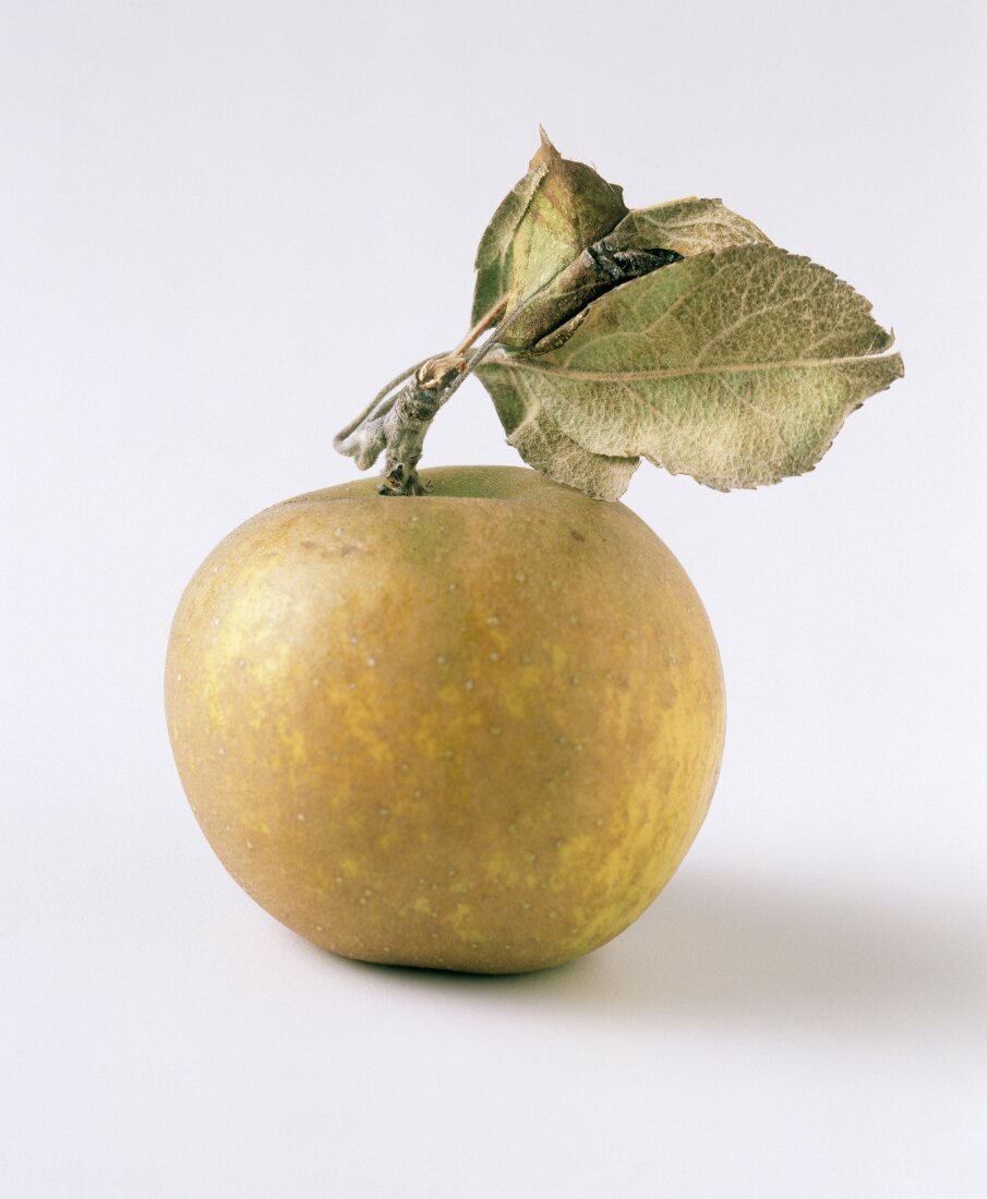 Ein ganzer goldbrauner Apfel mit Blättern