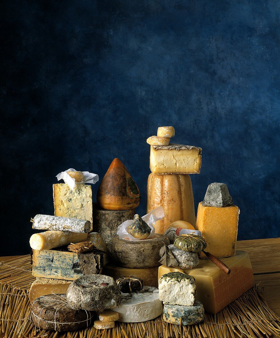Still Life with an Assortment of Cheese