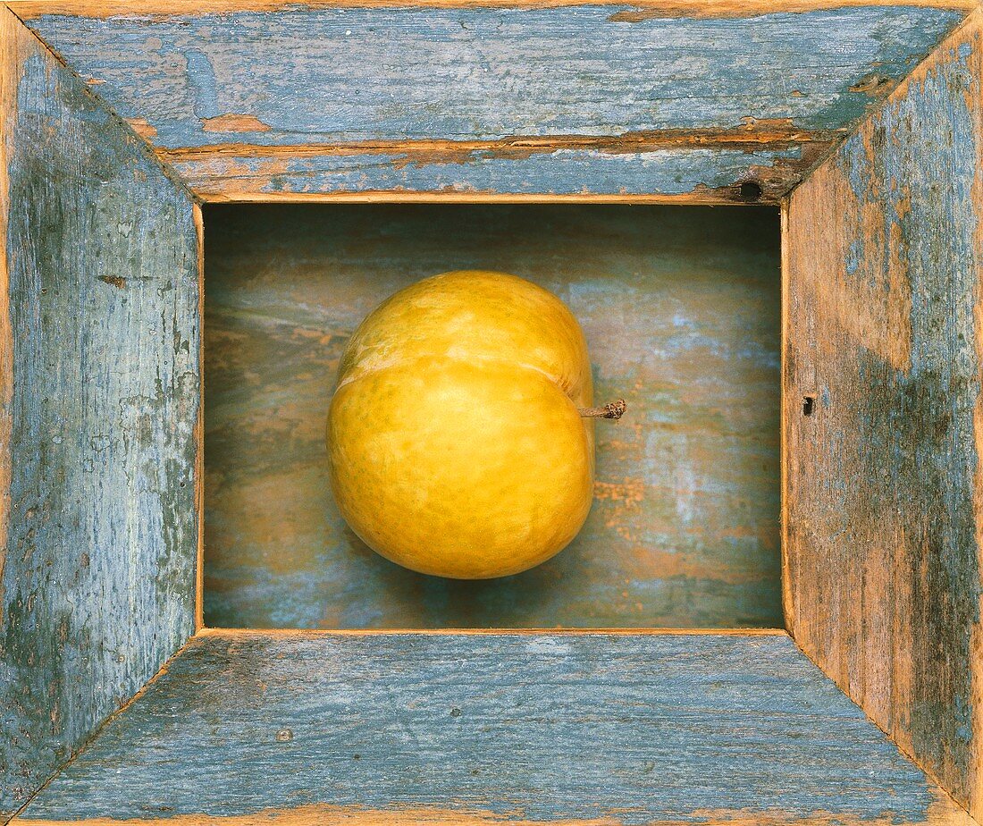 A Yellow Plum in a Wood Frame