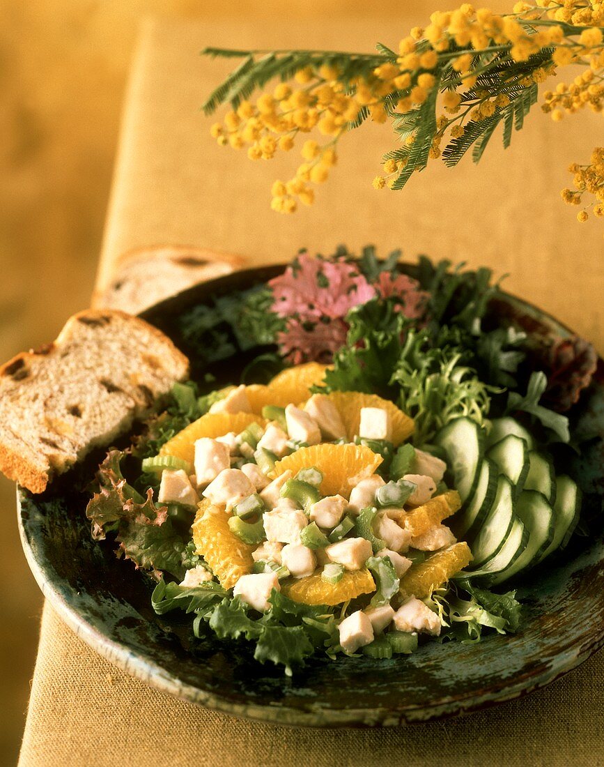 Chicken Salad with Celery Over Mixed Greens and Oranges