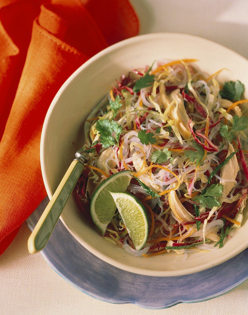 Rice Noodles with Red Cabbage Shredded Carrot and Chicken