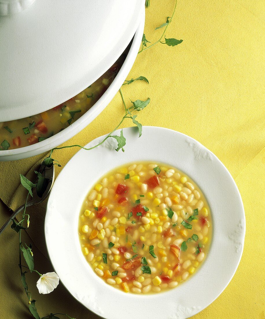 A Bowl of Corn Soup