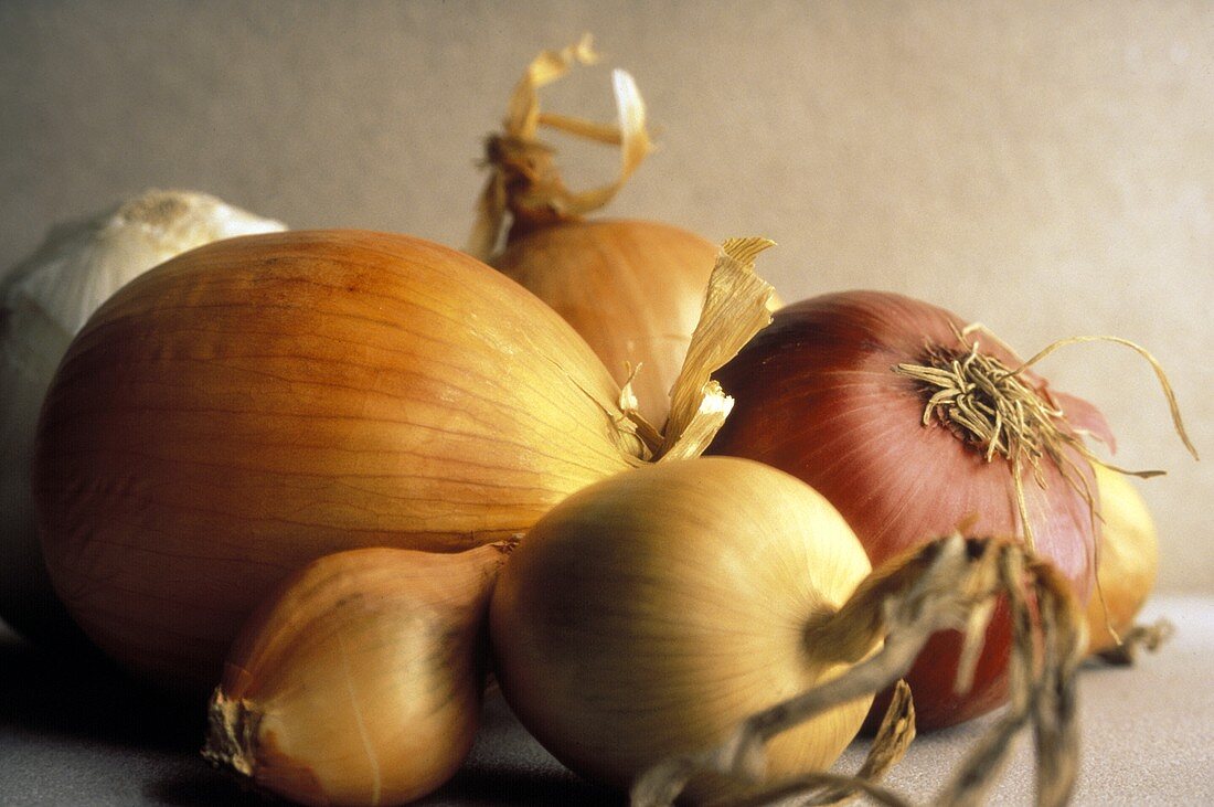 Several Assorted Onions