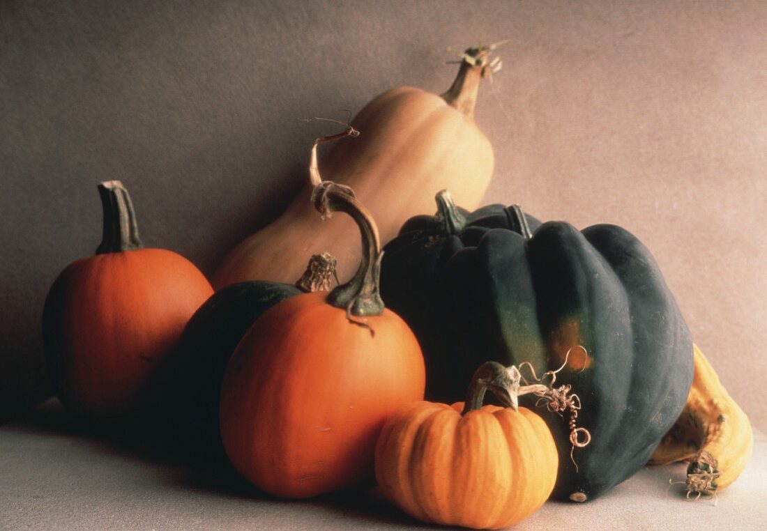 Still Life of Assorted Squash and Pumpkin