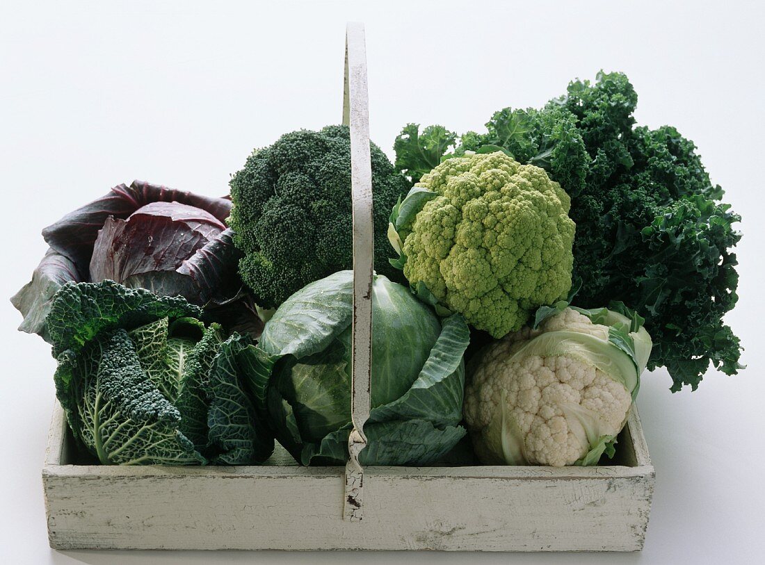 Assorted Cabbage Heads in a Wooden Box with a Handle