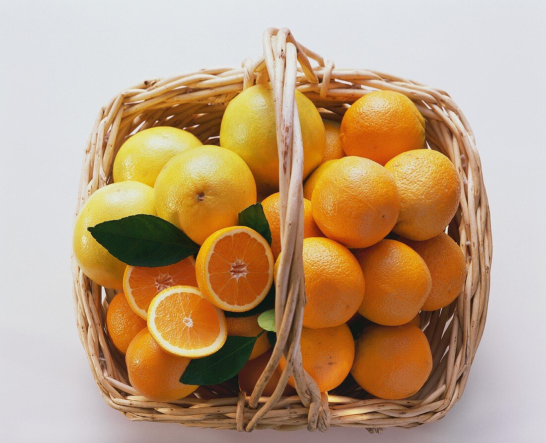 Oranges and Grapefruit in a Basket; Overhead