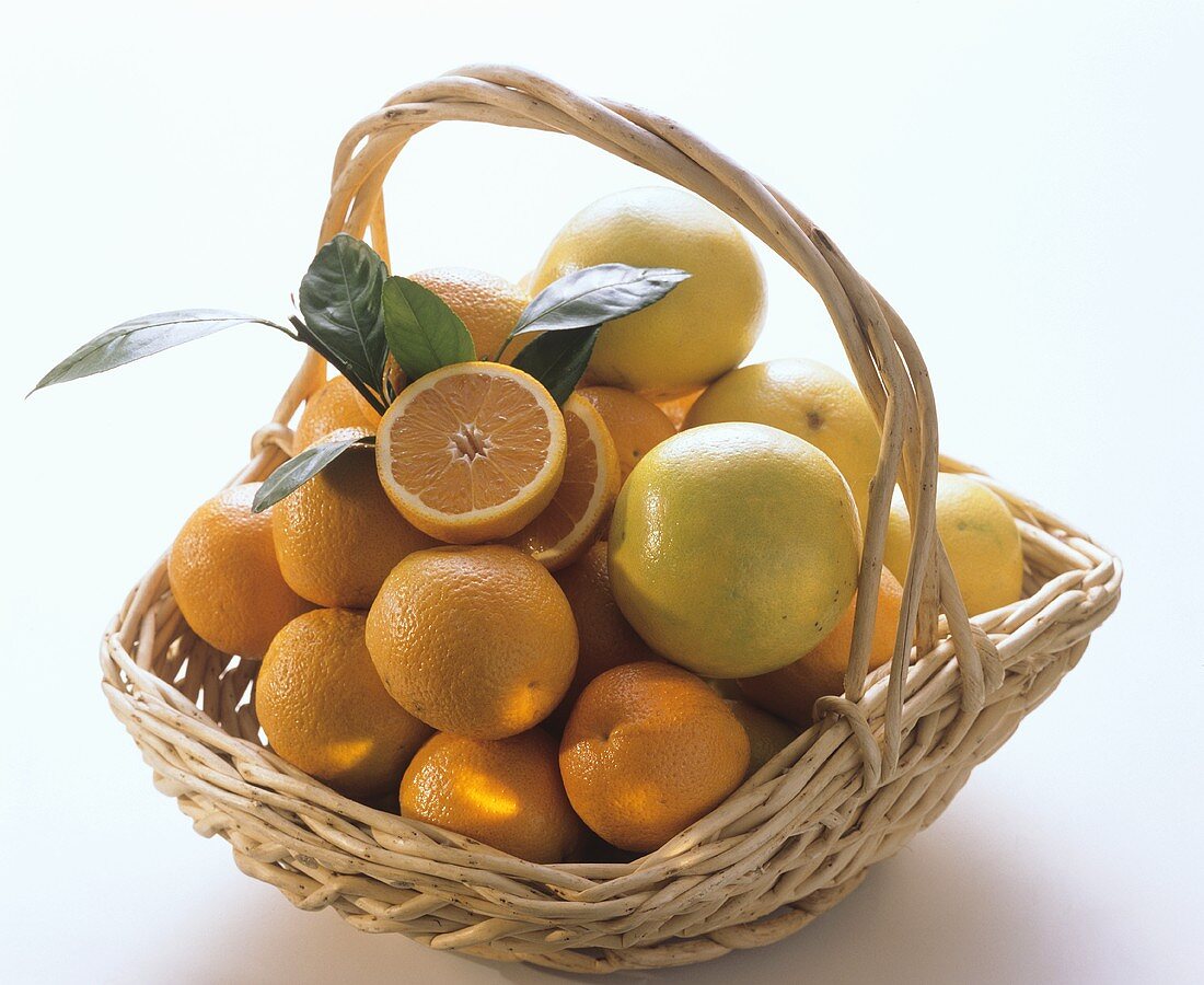 A Basket with Oranges and White Grapefruit