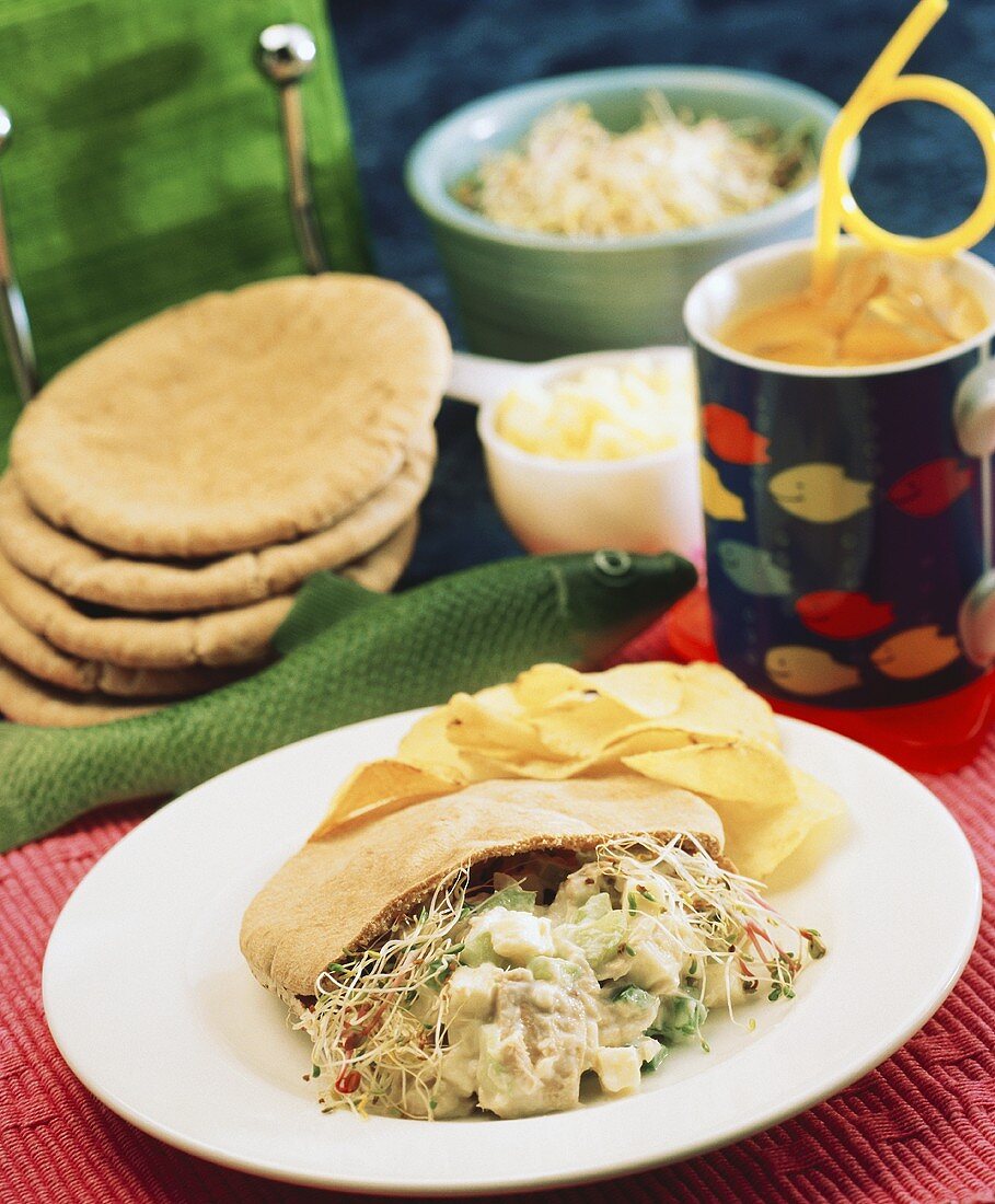 Tuna Salad Sandwich on Pita Bread