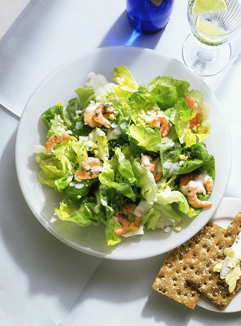 Green Salad with Shrimp