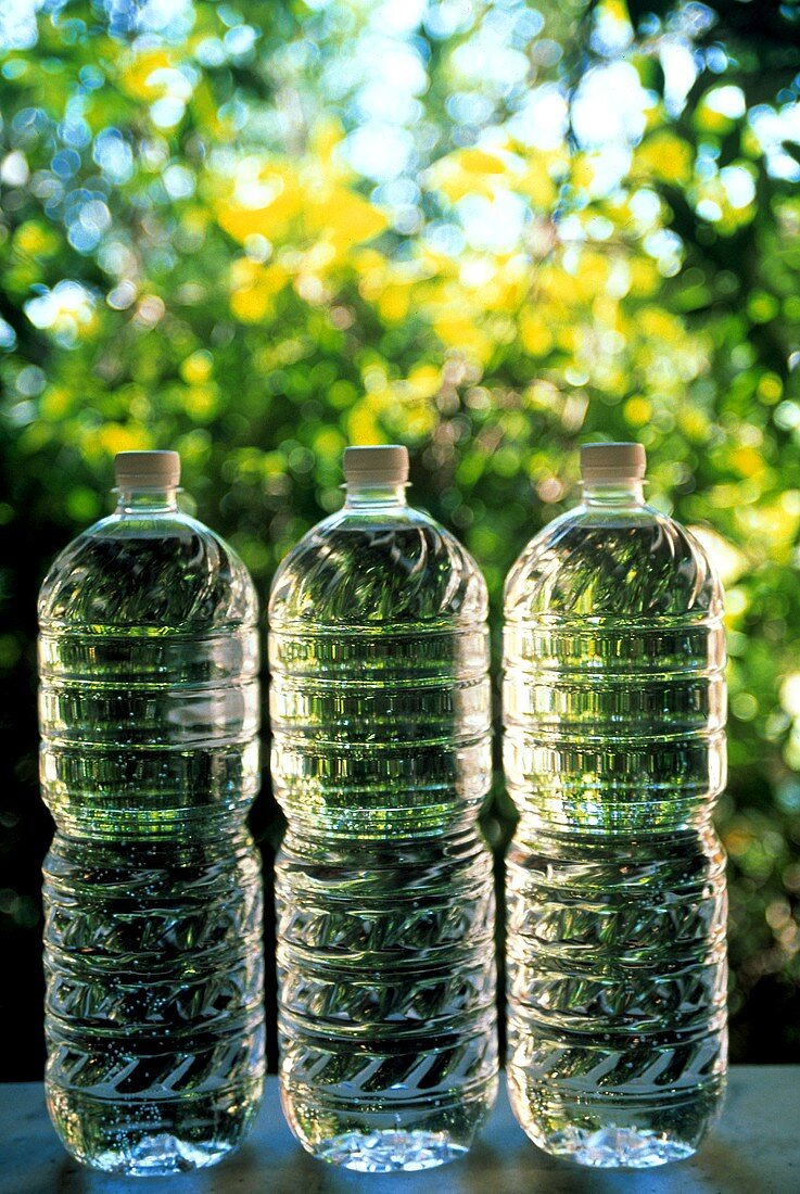 Drei Mineralwasserflaschen vor grünen Blättern