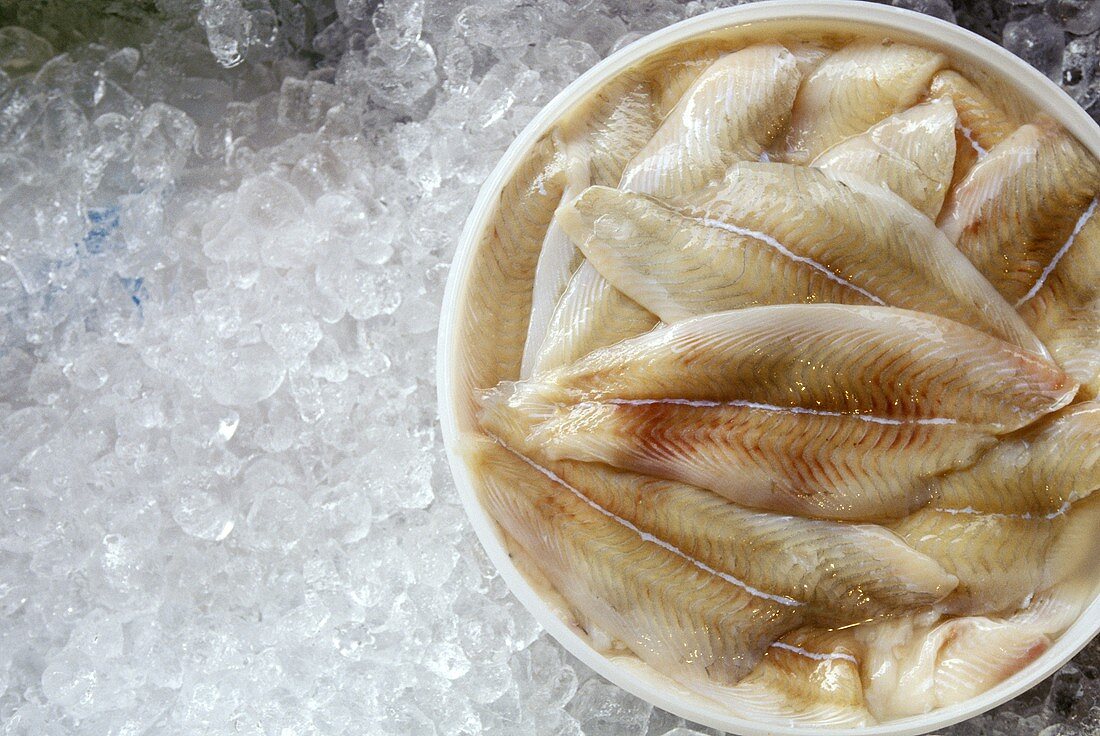 Sole Fillets in a Container on Ice