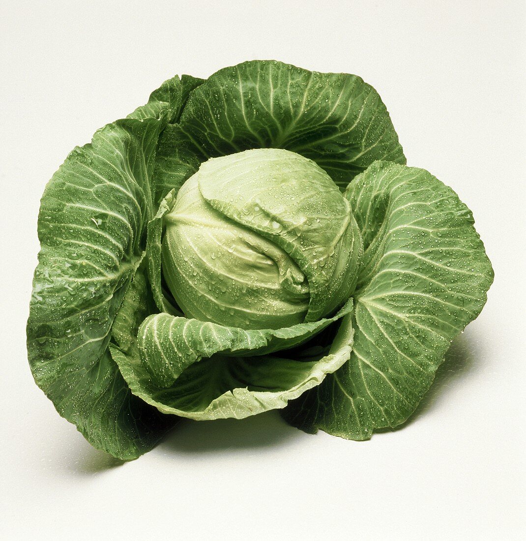 Whole Head of Cabbage