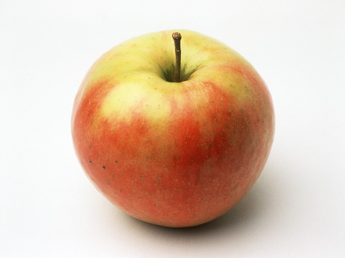 Ein Apfel der Sorte Jonagold