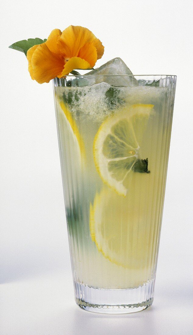 Erfrischende Limonade mit Zitronen, Eiswürfeln und Blüte