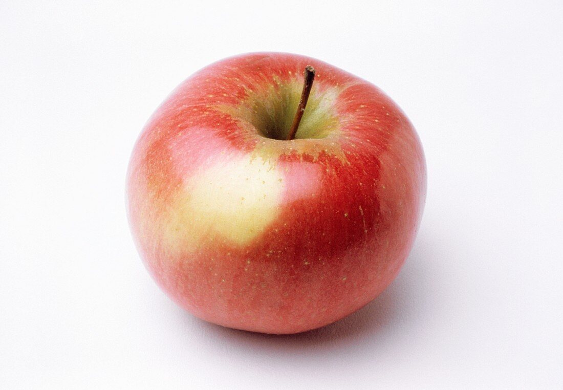 A Single Northern Spy Apple