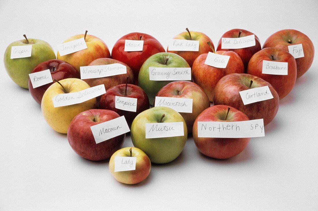 Äpfel verschiedener Sorten mit Namensschildchen