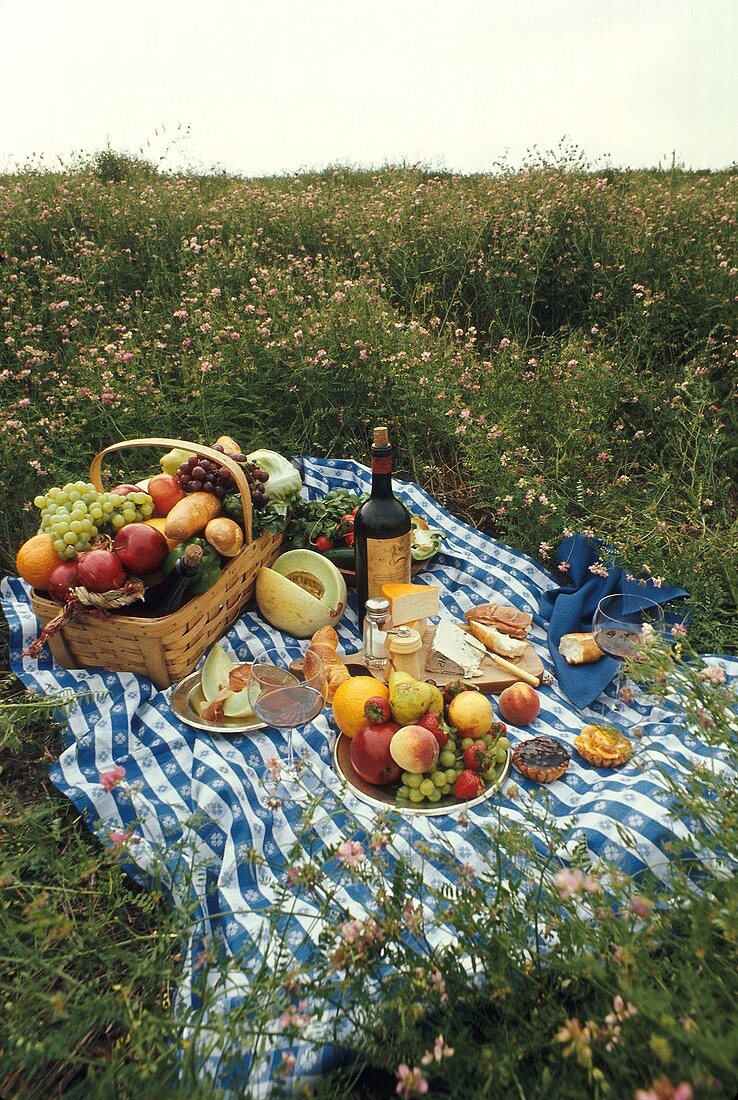 Picknick auf einer Decke in einer Blumenwiese