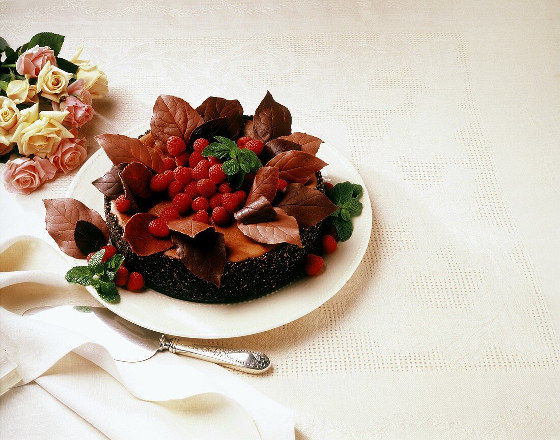 Chocolate Cake with Chocolate Leaves and Raspberries