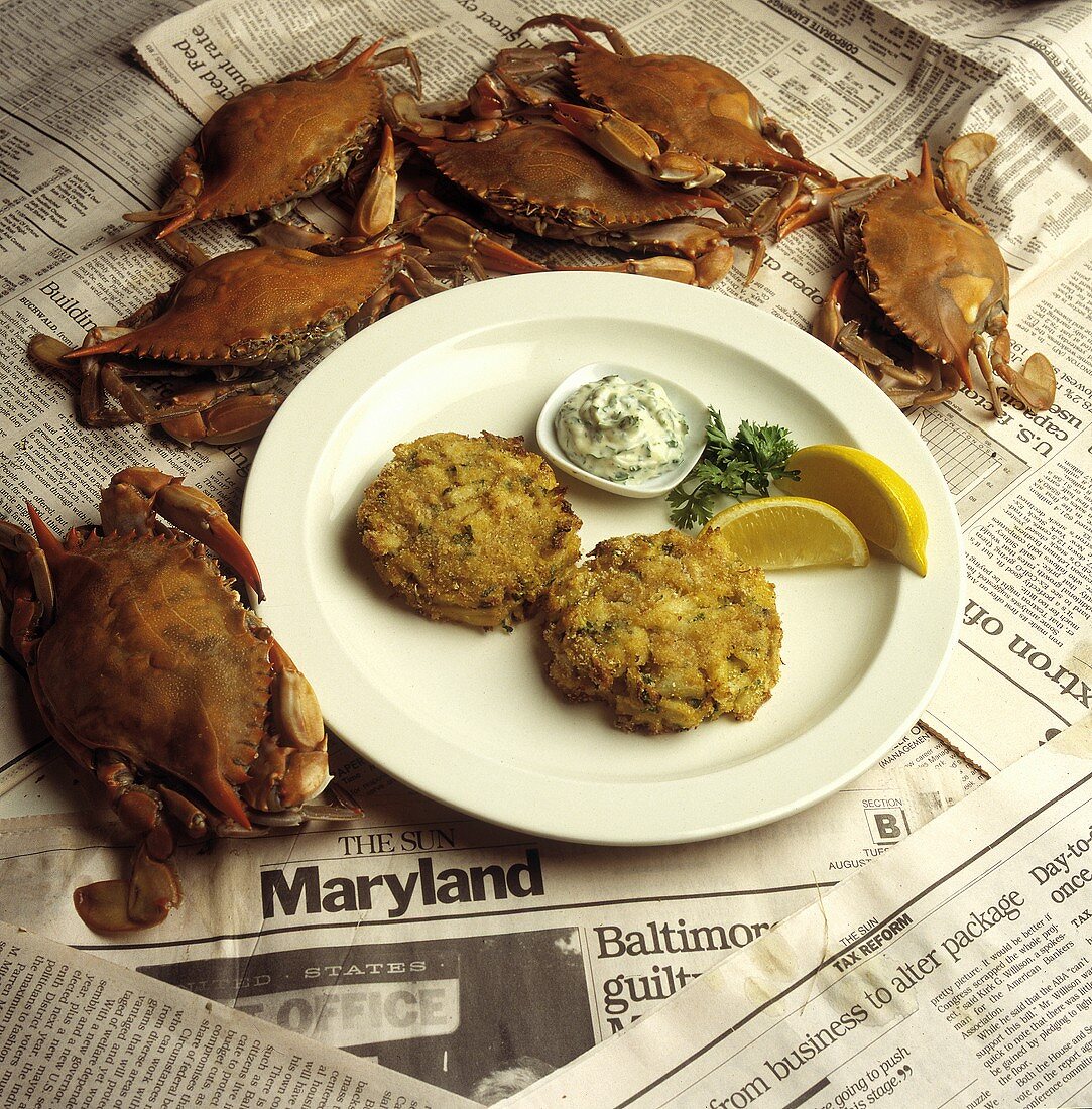 Maryland Krebsküchlein auf Teller, umgeben von Krabben