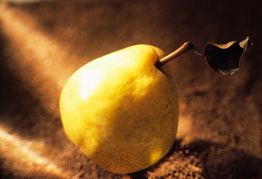 A Single Bartlett Pear/nSee Image #612912