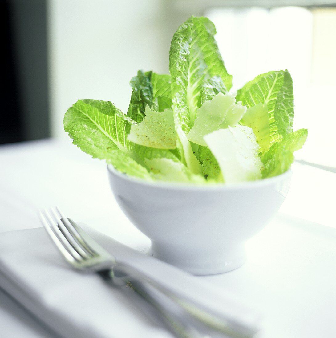 Caesar Salad in Bowl