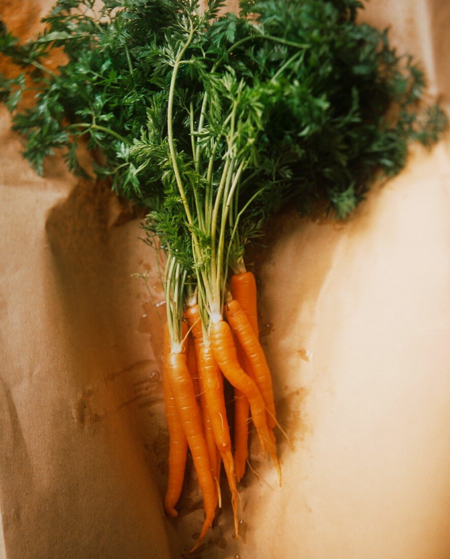 Bunch of Fresh Carrots on Brown Paper
