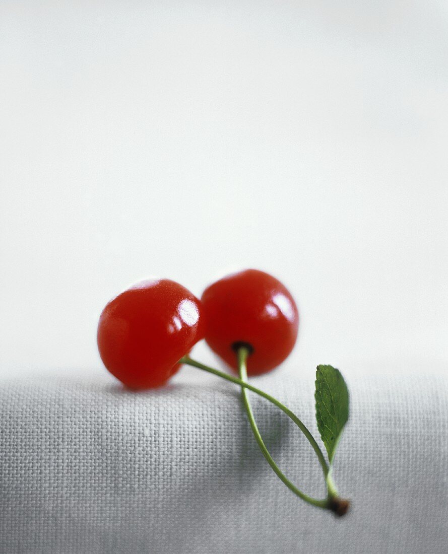 Two red Cherries with Connected Stems and Leaf